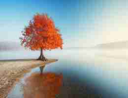 cdn智﻿能﻿dns策​略‍